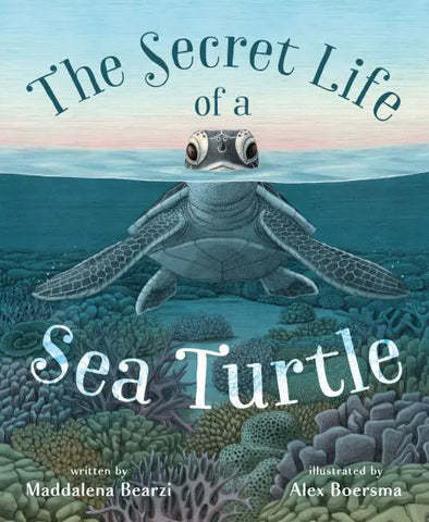 Book- Secret Life of a Sea Turtle