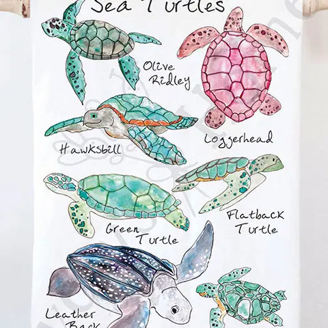 Dish Towel-  Sea Turtle Species