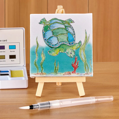 Water Color Kit- Sea Turtle