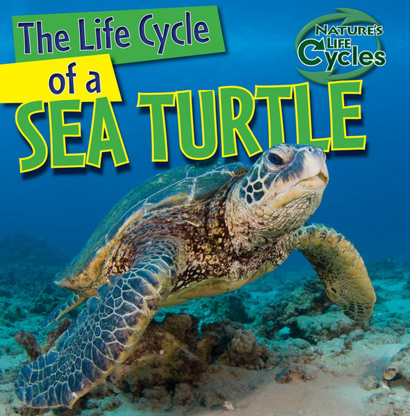 Book: The Life Cycle of a Sea Turtle-NLC – The Turtle Hospital