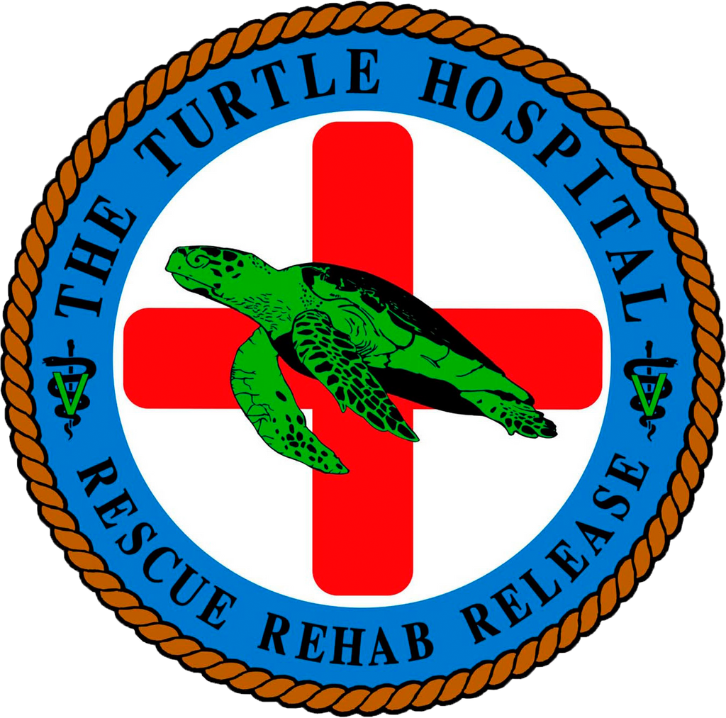 4" Large Logo Sticker The Turtle Hospital