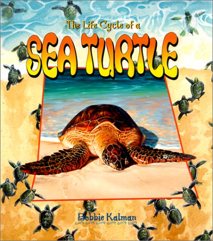 Book: The Life Cycle of a Sea Turtle-Kalman