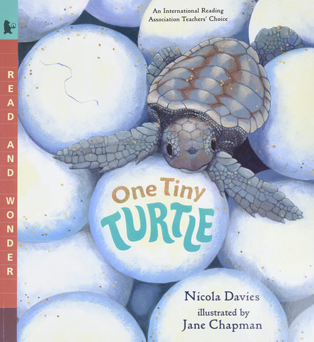Book: One Tiny Turtle