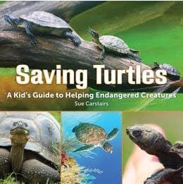 Book: Saving Turtles